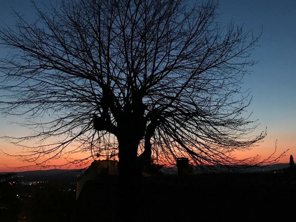 Camera E Appartamento Toscana - B&B Palazzo Robicci คาสติญโญน ฟิโอเรนทิโน ภายนอก รูปภาพ